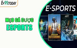 Mẹo Cá Cược Esports